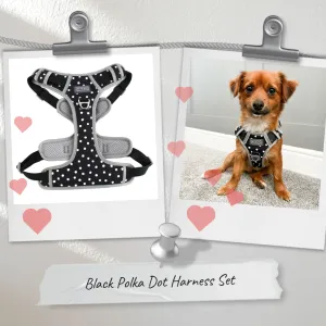 Black Polka Dot