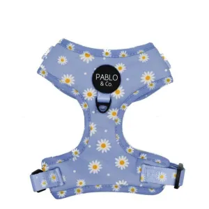 Blue Daisy Adjustable Harness
