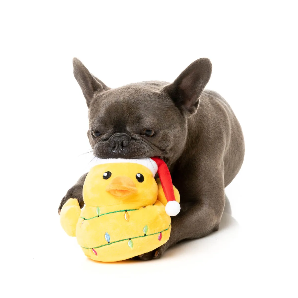 FuzzYard Dog Toy Merry Quackmas Plush
