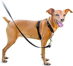 PetSafe 3 in 1 Harness