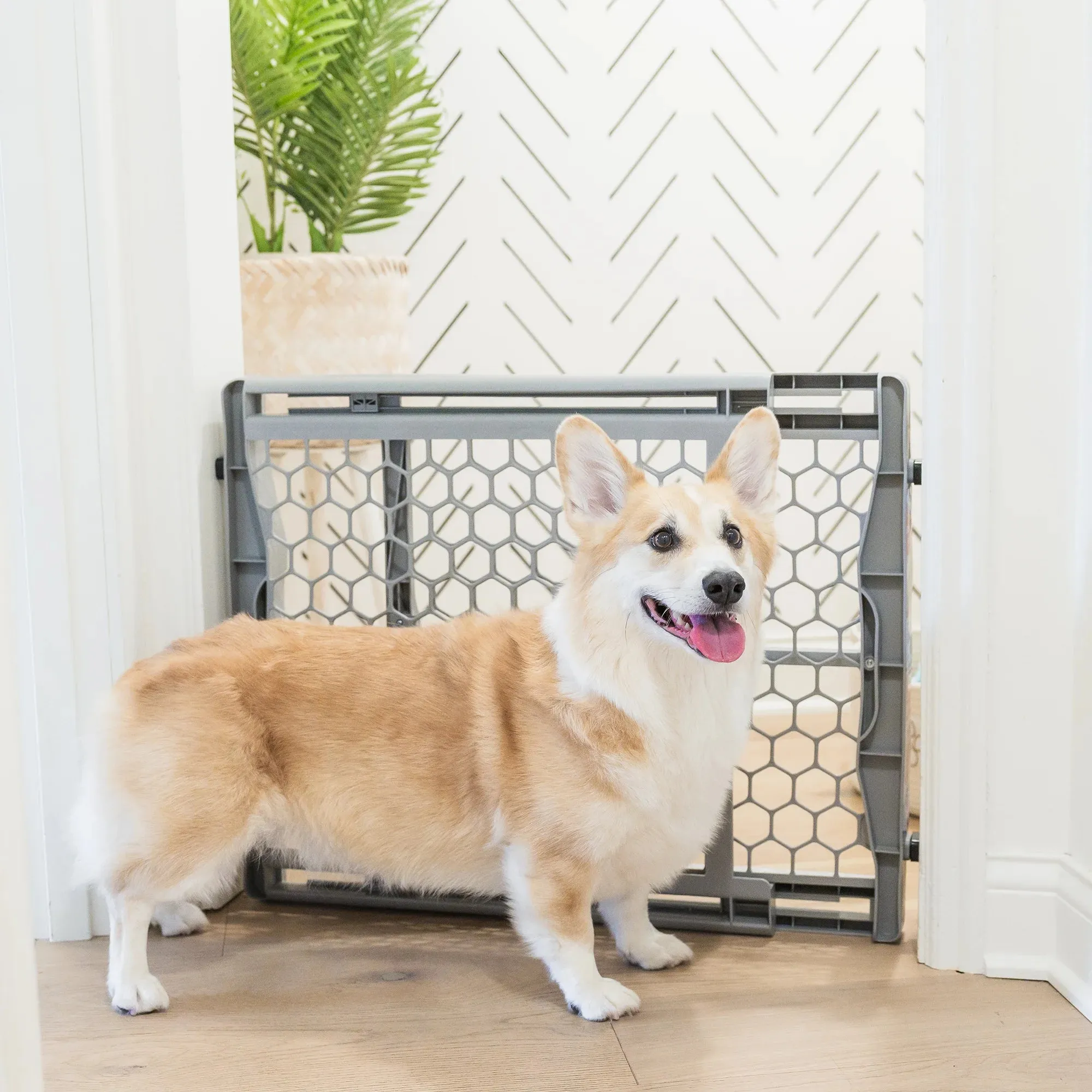 Plastic Expandable Pet Gate