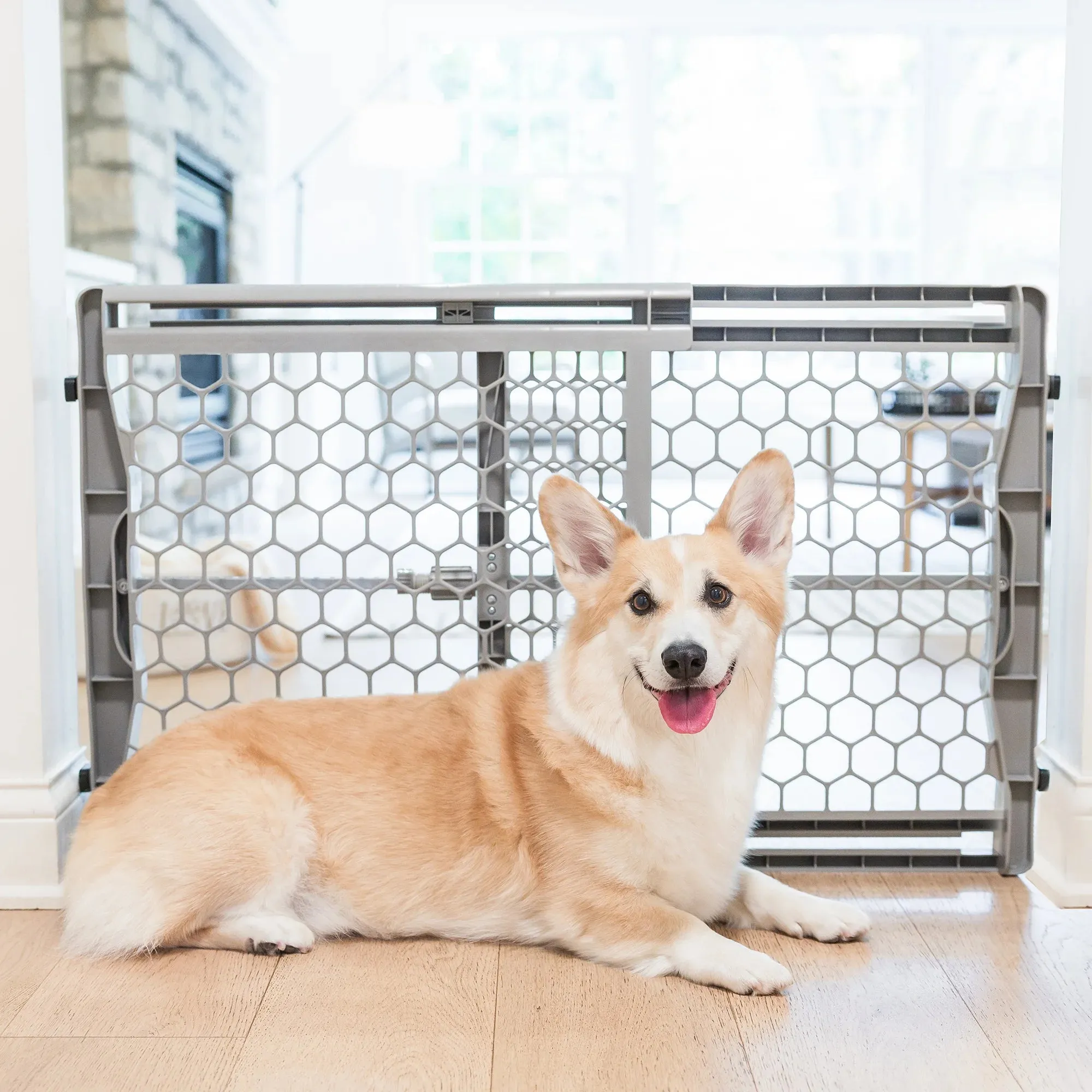 Plastic Expandable Pet Gate