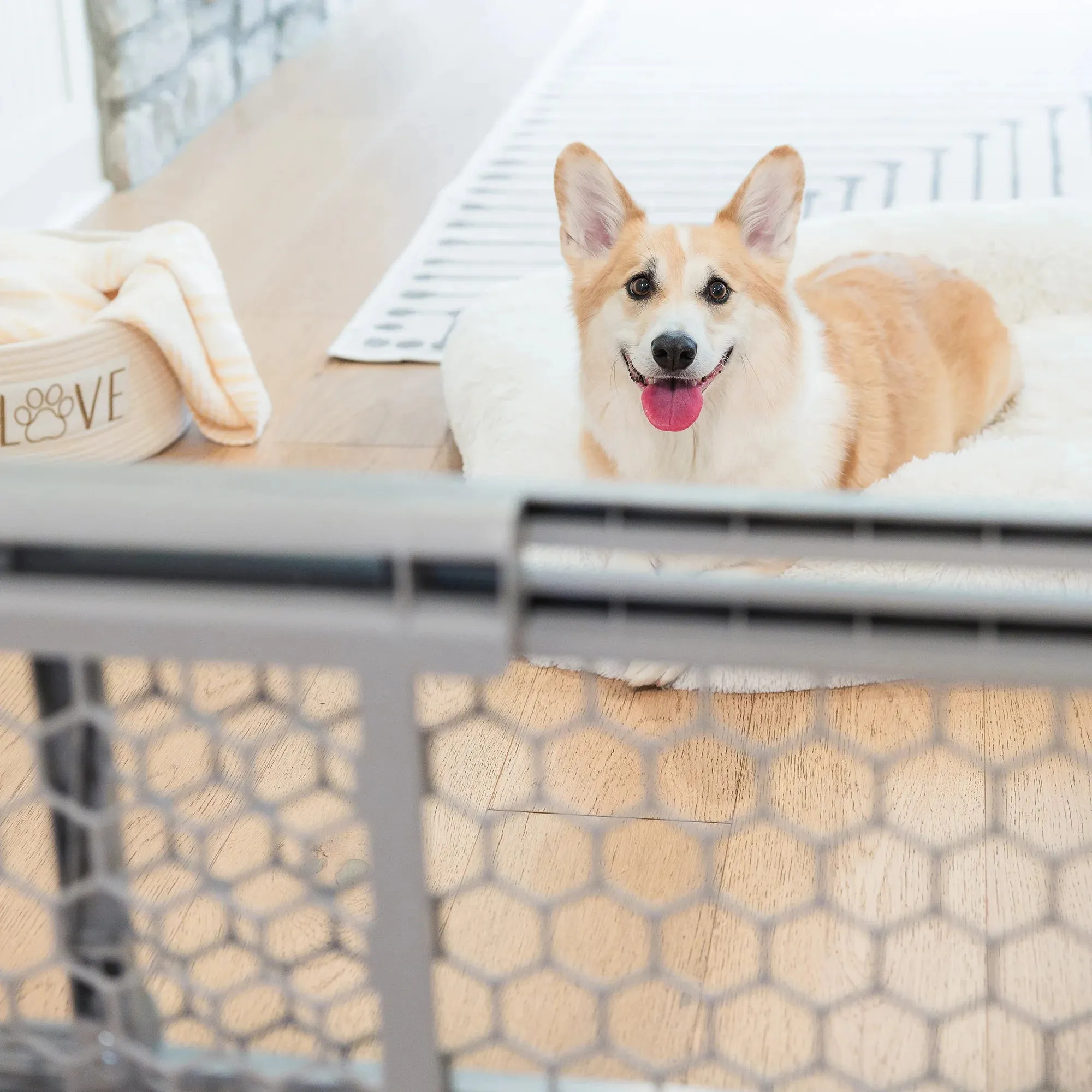 Plastic Expandable Pet Gate
